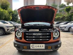 Haval Big Dog 1.5T DCT two-wheel drive Border Collie version - фото 4