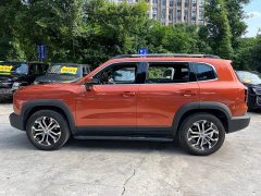 Haval Big Dog 1.5T DCT two-wheel drive Border Collie version - фото 5