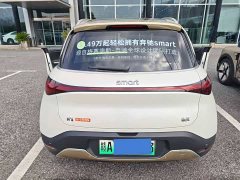 Smart Elf #1 Platinum Edition - фото 3