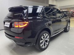 Lexus Discovery Sport Luxury Customized Edition - фото 4
