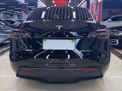 Tesla Model Y rear-wheel drive version - фото 9