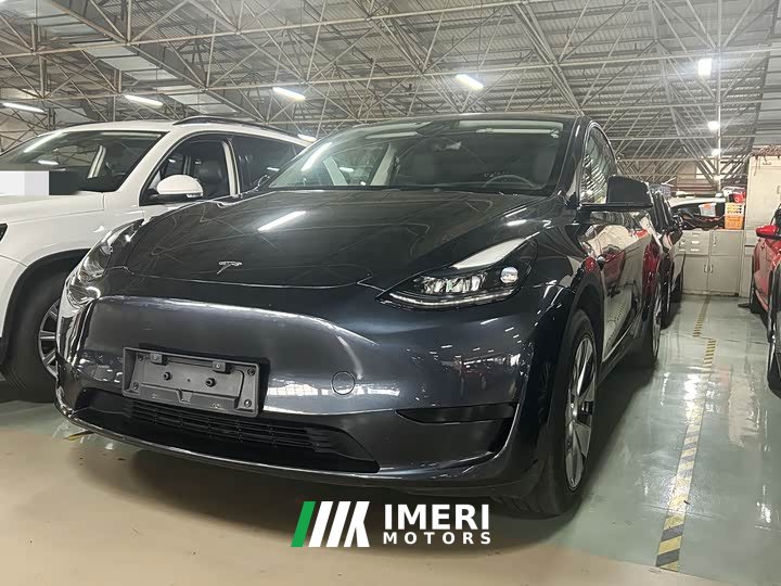 Tesla Model Y rear-wheel drive version - автомобиль из Китая