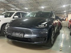 Tesla Model Y rear-wheel drive version - фото 1