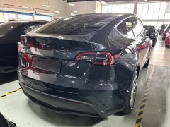 Tesla Model Y rear-wheel drive version - фото 4