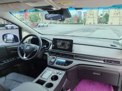 Lexus Alison 2.0L e:HEV Deluxe Edition - фото 17
