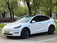 Tesla Model Y 2022 Performance high-performance all-wheel drive version - фото 1