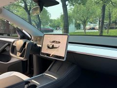 Tesla Model Y 2022 Performance high-performance all-wheel drive version - фото 15