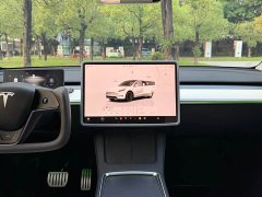 Tesla Model Y 2022 Performance high-performance all-wheel drive version - фото 19