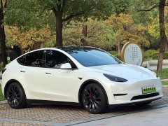 Tesla Model Y 2022 Performance high-performance all-wheel drive version - фото 2