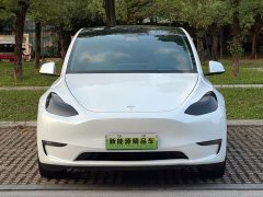 Tesla Model Y 2022 Performance high-performance all-wheel drive version - фото 3