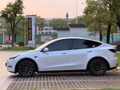 Tesla Model Y 2022 Performance high-performance all-wheel drive version - фото 4