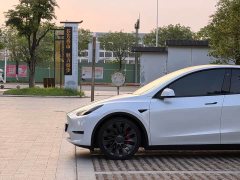 Tesla Model Y 2022 Performance high-performance all-wheel drive version - фото 5