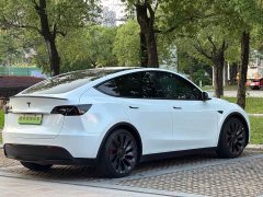 Tesla Model Y 2022 Performance high-performance all-wheel drive version - фото 6
