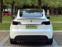 Tesla Model Y 2022 Performance high-performance all-wheel drive version - фото 7