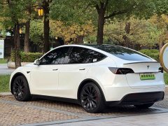 Tesla Model Y 2022 Performance high-performance all-wheel drive version - фото 8