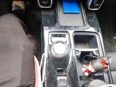 Haval Big Dog 2021 1.5T DCT two-wheel drive Border Collie version - фото 10