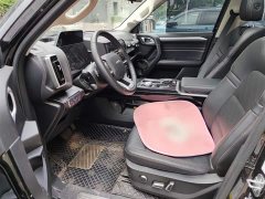 Haval Big Dog 2021 1.5T DCT two-wheel drive Border Collie version - фото 11