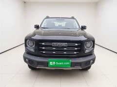Haval Big Dog 2021 1.5T DCT two-wheel drive Border Collie version - фото 2