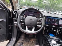 Haval Big Dog 2021 1.5T DCT two-wheel drive Border Collie version - фото 6