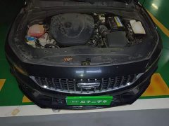 Geely Preface 2.0TD "Only Green" Edition - фото 16