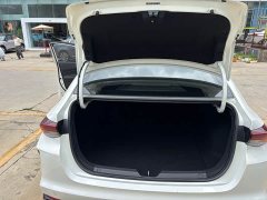 Trumpchi Shadow Leopard 2021 270T DCT J15 version - фото 14