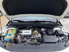 Trumpchi Shadow Leopard 2021 270T DCT J15 version - фото 16