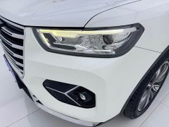 Haval H6 1.5GDIT Automatic Champion Edition - фото 7
