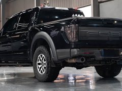 Ford F-150 Raptor 2022 3.5T Raptor - фото 9