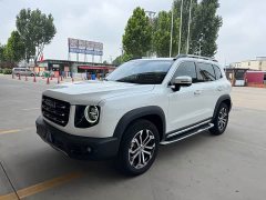 Havaldog 2.0T DCT two-wheel drive Chinese hound version - фото 1