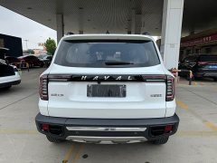 Havaldog 2.0T DCT two-wheel drive Chinese hound version - фото 17