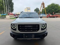 Havaldog 2.0T DCT two-wheel drive Chinese hound version - фото 3