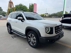 Havaldog 2.0T DCT two-wheel drive Chinese hound version - фото 5