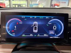 BYD Song Pro New Energy DM-i 110km flagship - фото 16
