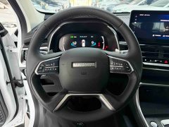 Haval H6 2021 National Fashion Edition 1.5T Automatic Champion Edition - фото 11