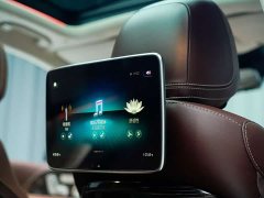 Maybach GLS 600 4MATIC Lile Edition - фото 14