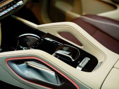 Maybach GLS 600 4MATIC Lile Edition - фото 19