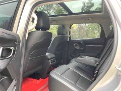 Haval Big Dog PLUS 2.0T two-wheel drive wild version Plus - фото 10