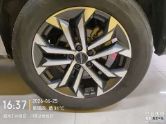 Haval Big Dog PLUS 2.0T two-wheel drive wild version Plus - фото 12