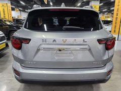 Haval Big Dog PLUS 2.0T two-wheel drive wild version Plus - фото 13