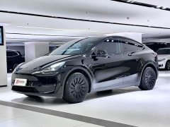 Tesla Model Y long-range all-wheel drive version - фото 1