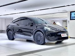 Tesla Model Y long-range all-wheel drive version - фото 2