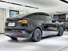 Tesla Model Y long-range all-wheel drive version - фото 3