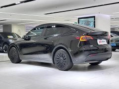 Tesla Model Y long-range all-wheel drive version - фото 4