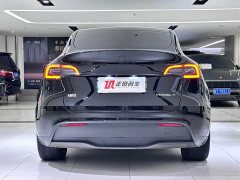 Tesla Model Y long-range all-wheel drive version - фото 6