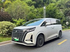 Denza D9 DM-i 970 four-wheel drive flagship - фото 1