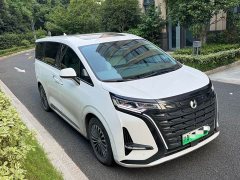 Denza D9 DM-i 970 four-wheel drive flagship - фото 3
