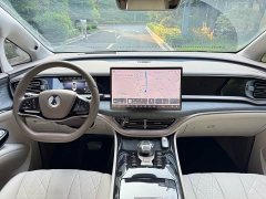 Denza D9 DM-i 970 four-wheel drive flagship - фото 9