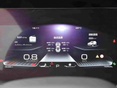 Haval Big Dog 1.5T DCT Border Collie Edition - фото 12