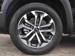 Haval Big Dog 1.5T DCT Border Collie Edition - фото 19