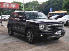 Haval Big Dog 1.5T DCT Border Collie Edition - фото 3